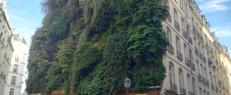 Illustration de : Tableau végétal