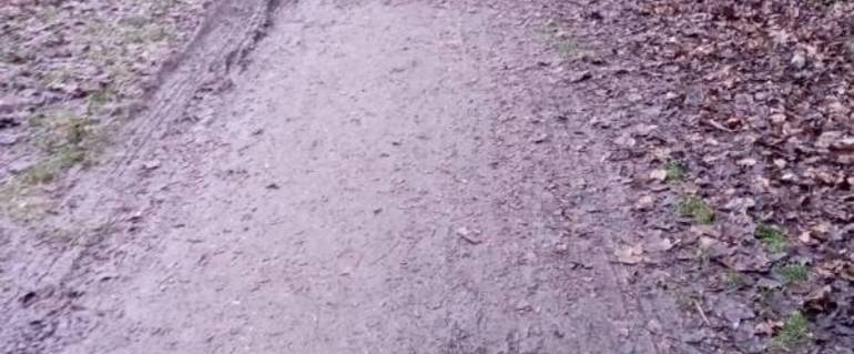 Illustration de : Réfection du chemin entre l'école Chartreuse et le parc Lesdiguières