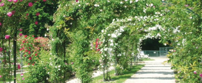 Illustration de : Allée 