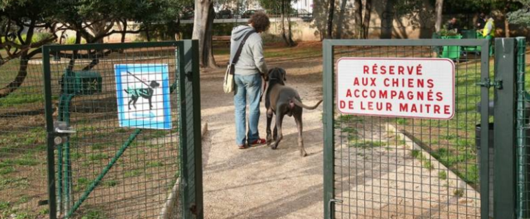 Illustration de : Création d'un espace de liberté pour chiens à Seyssinet-Pariset