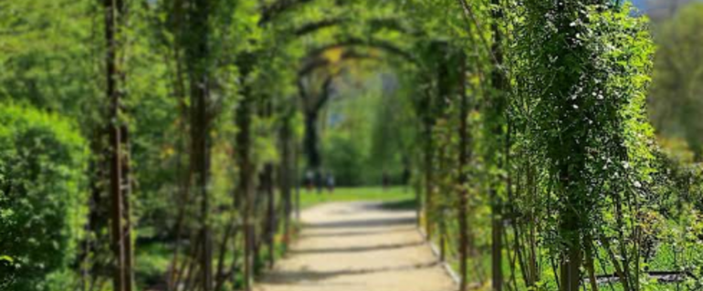 Illustration de : Ombrière devant espace Gisèle Perez