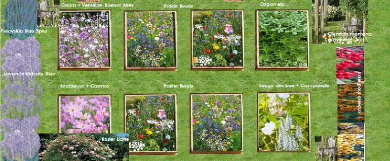 Illustration de : végétaliser une zone du jardin