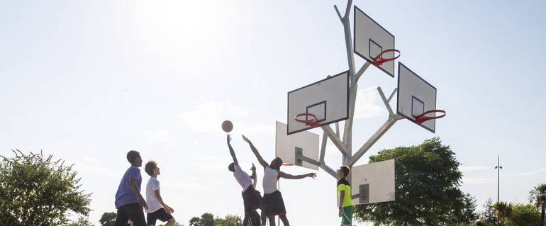 Illustration de : Arbre (Tour) de Basket inclusif au parc Lesdiguères