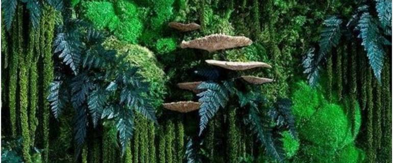 Illustration de : Tableau végétal